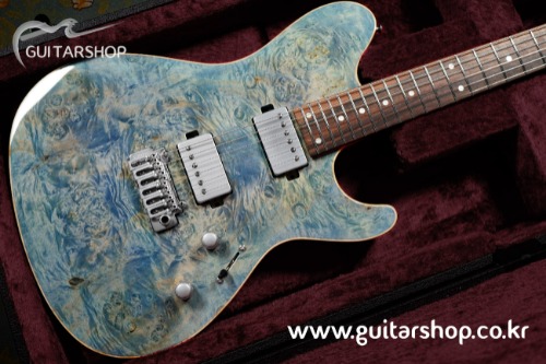 [한정반] SUGI DS496WE 24Fret Stainless Luthier&#039;s Model (FGB Color - 기타샵 특주 모델)