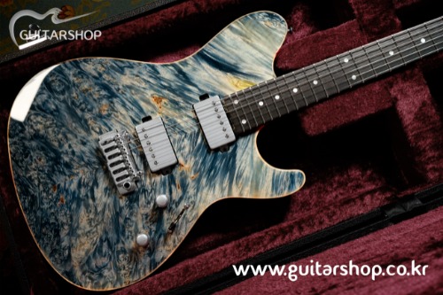[한정반] SUGI DS496E 24Fret Stainless Luthier&#039;s Model (PLB Color - 기타샵 특주 모델)