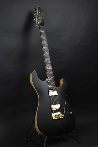 [입고예정/~2월 25일까지 선 구매시 20만원 할인] SAITO S-622 SSH (HH GG Black Color) Guitars.